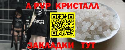 шишки Тверь