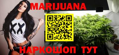 шишки Тверь
