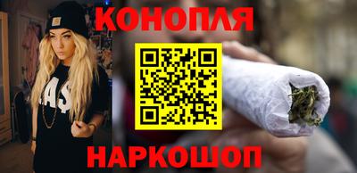 шишки Тверь