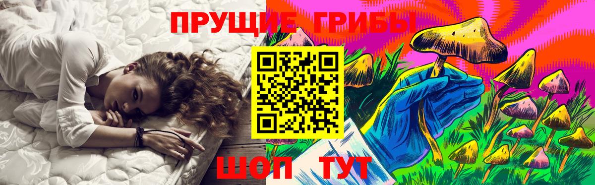 цена   Псилоцибиновые грибы Cubensis  Псилоцибиновые грибы ЛСД  Вход с VPN  Сатка 